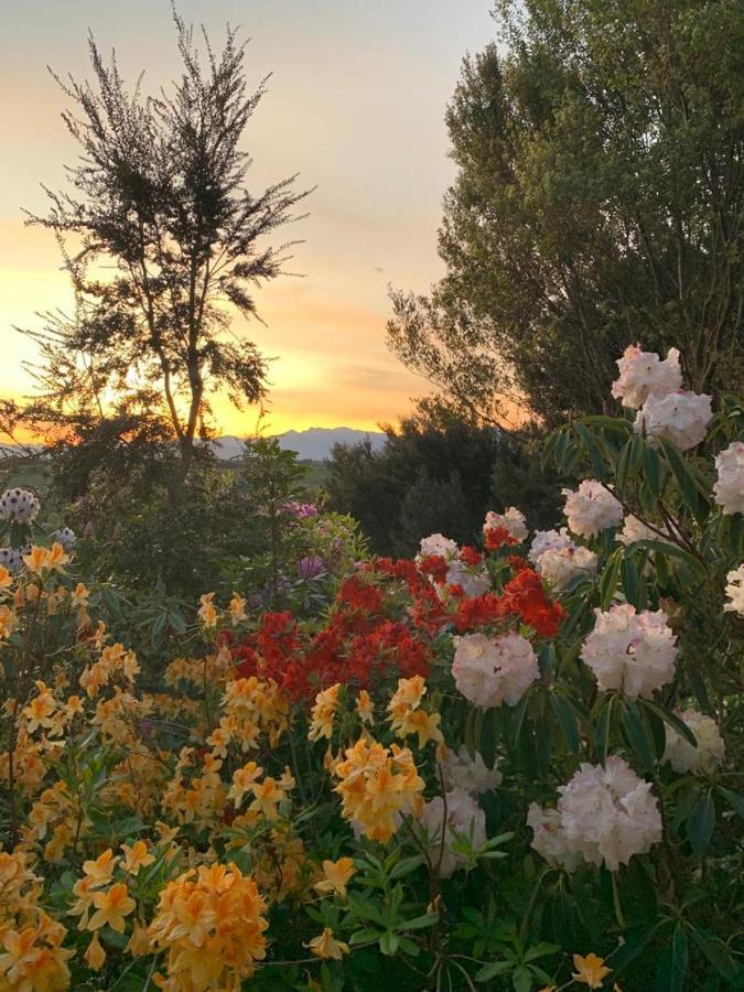 2 Views At Tasman Bed & Breakfast ภายนอก รูปภาพ